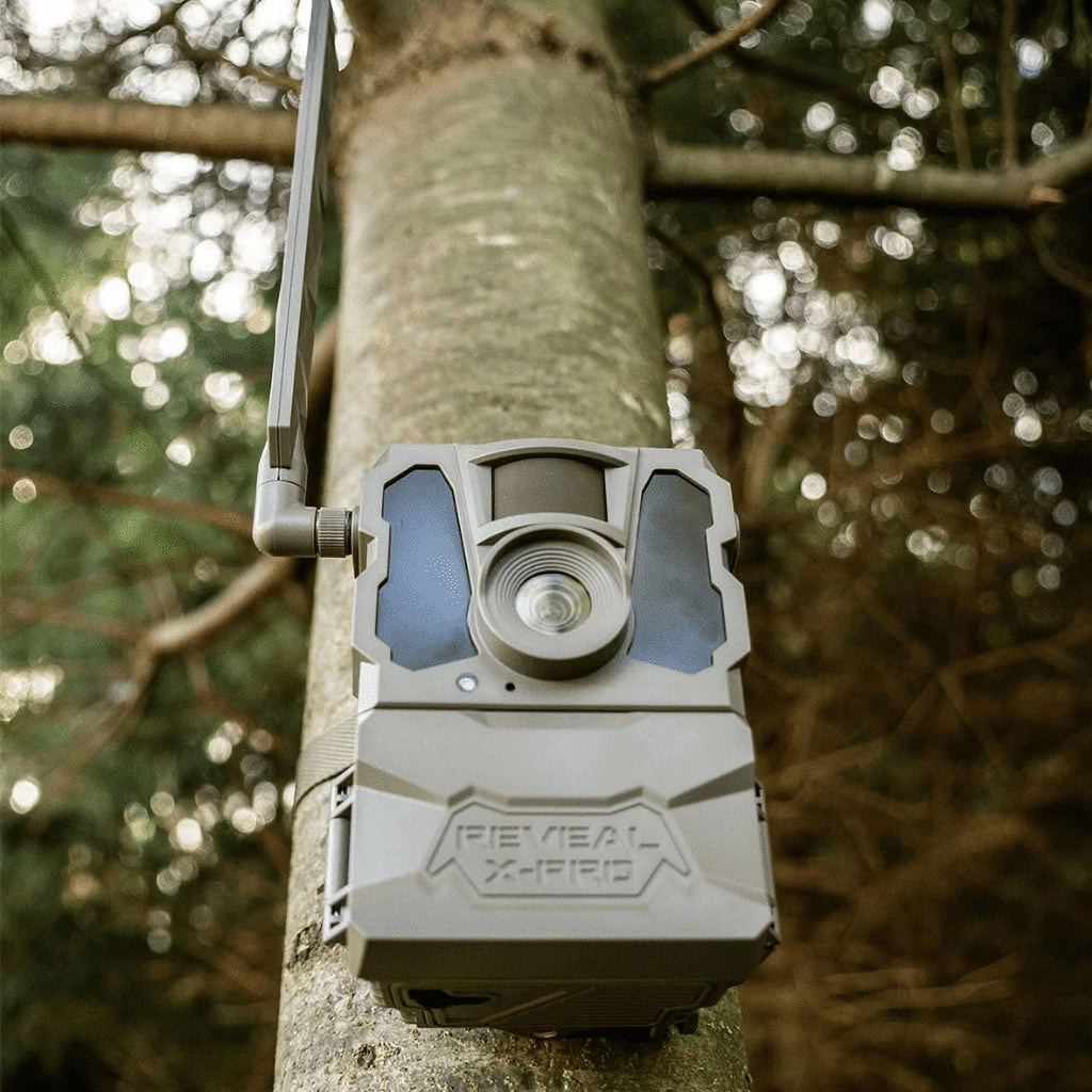 Cellular Trail Camera 16 Megapixels Q33459