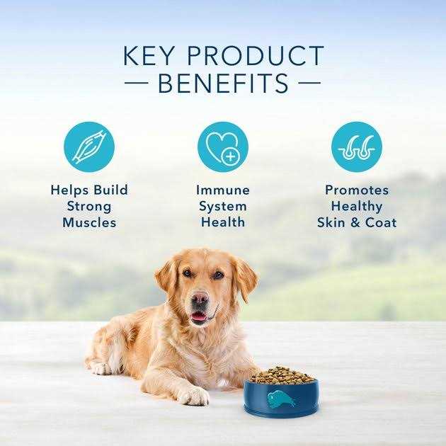 Chicken & Brown Rice Recipe Dry Dog Food H32026