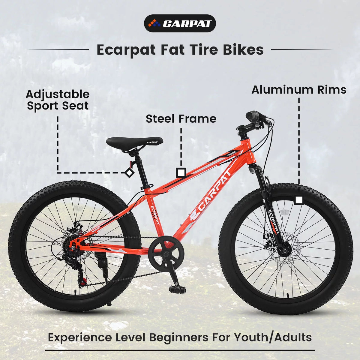 24 Inch Fat Tire Bike 7 Speeds Dual Disc Brake High-Carbon Steel Frame C595