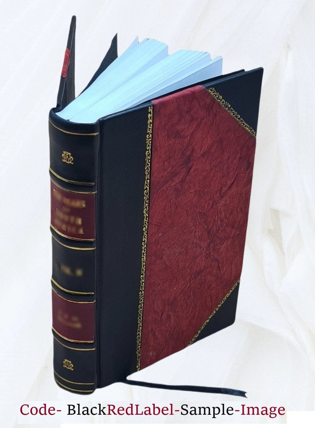 Leather Bound I1237